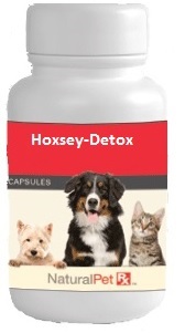 Hoxsey-Detox - 100 Capsules